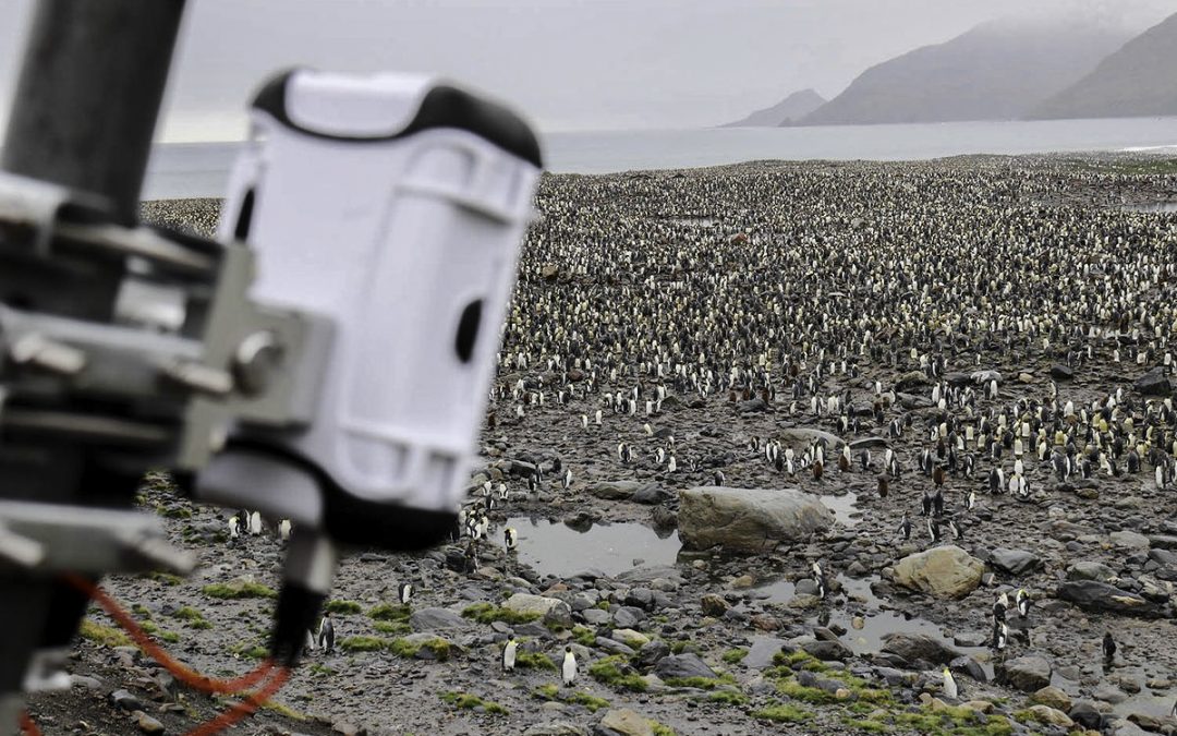 Three years in Antarctica – affordable and durable time-lapse monitoring