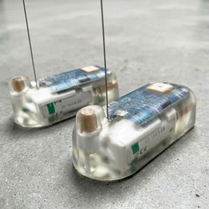 Arribada Argos satellite Scute tag for adult sea turtles