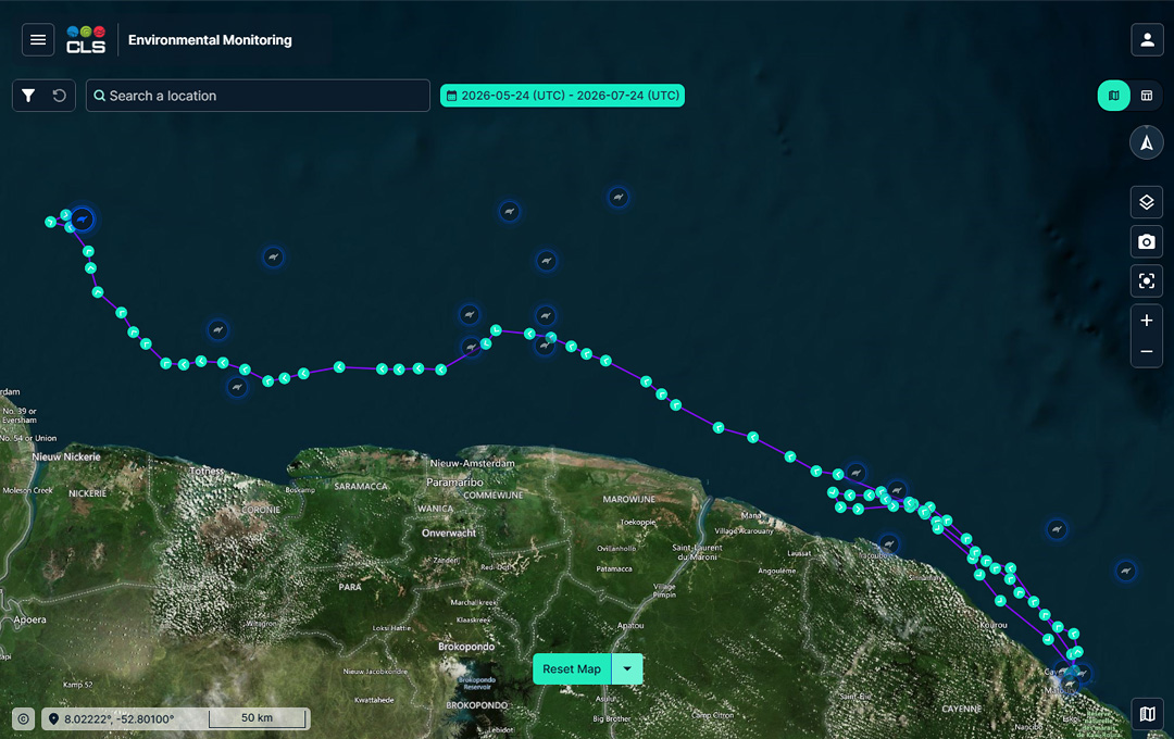 2 months of sea turtle satellite tracking data generated from an Arribada Scute tag