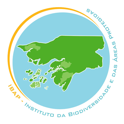 IBAP logo